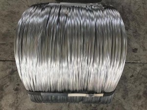 Cold/Hot Dipped Galvanized Iron Wire